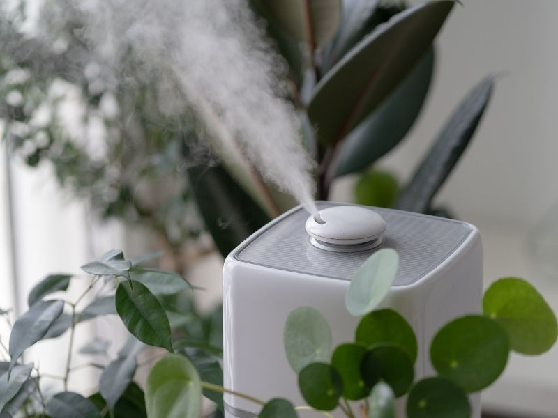 Purifier Removes Polluted Indoor Air